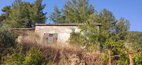 Muğla, Dalaman, Elcik 1 100 M2, Müstakil Arazide, 60 M2 Köy Ev Satılık