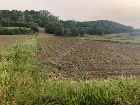 Edirne Uzunköprü Kırkkavak Köyü'nde Köy İçinde Satılık Tarlalar