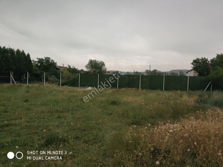 Satılmışoğlu'nda Satılık Fırsat Tarla