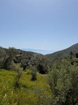 Bodrum Mazı Deniz Manzaralı Arsa