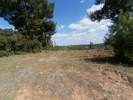 Resmi Yolu Olan Tarla