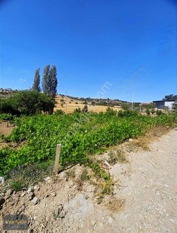 Vb Gruptan Kocasinan Höbekte Satılık Bağ