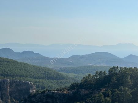 Deniz Ve Vadi Manzaralı Tarla