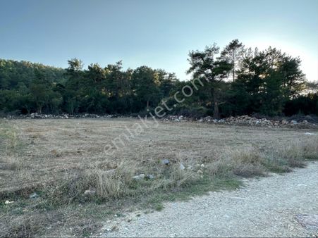 Resmi Yola Cepheli Tarla