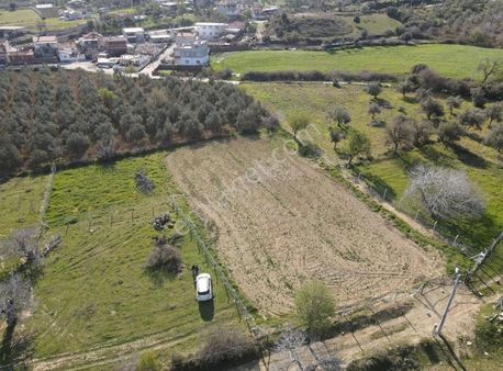 Sarıbaş Emlak Tan Şarköy De Köy İçi 2 Dönüm Zeytinlik
