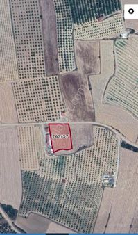 Bozkurt/alikurt  3.582 M2 Fırsat Tarla. resmi Yola Sıfır. Asfalta 1.3 Km. Yerleşime 1.7 Km...