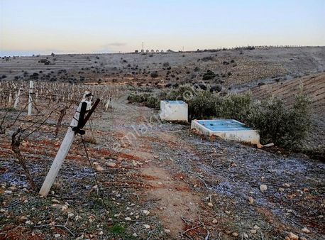 Kemaliyede Su Ve Elektriği Olan Satılık 24700 M2 Bağ