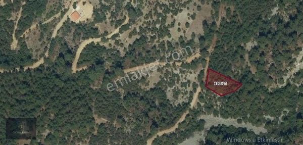 Akyaka Akbük Koyuna Yakın Köşe Tarla