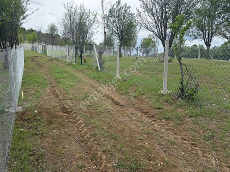 Bağlum Güzelyurt Hm Merkeze Yakın 418m2 Su Tel Örgü Sokak Aydunlatma Fırsat Bahçeler