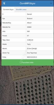 Denizli Alikurtta Satılık Ceviz Bahçesi