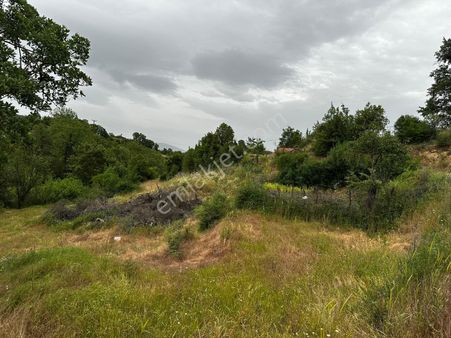 Köyün Yanında Satılık Bahçe