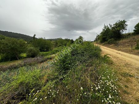 Köyün Yanında Satılık Bahçe