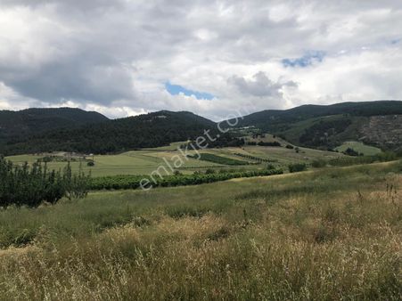 1,5 Dönüm Villa Yapmaya Uygun Muhteşem Arsa