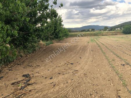 Büyükyenice Köyün'de Su Sıkıntısı Olmayan 600 M2 Satılık Tarla