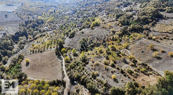 Geyve Hacıosmanlar 2490 M2 Bağ Niteliğinde Karışık Meyva Ağaçlar