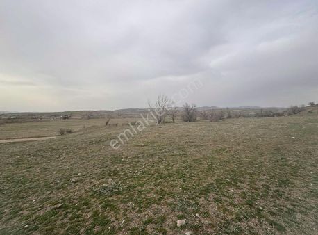 K.kazan Gyo'dan Ahi Mah. 295 M2 Yolu Mevcut Bahçelik Tarla Acil