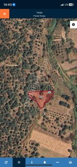 İzmir Ödemişte Satılık Arazi