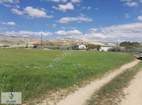 Gürün Bahçeiçinde Bahçelik Tarla