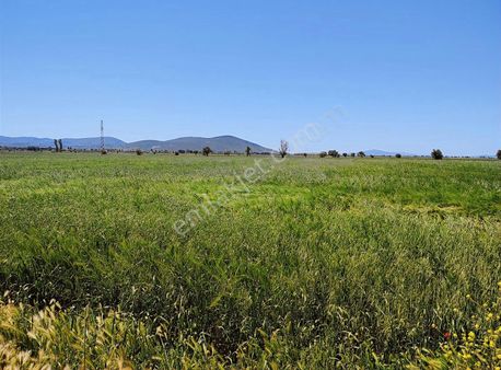 Tavas Garipköyde Fırsat Arazi
