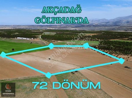 Özgür'den Akçadağ Gölpınar'da Yatırımlık Fırsat Sulu Tarla