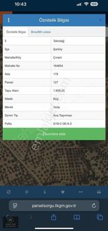 Akçandan Şarköyde Satılık Zeytinlik