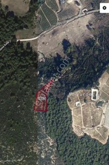 Arveden Musalı Köyünde Doğa İle İç İçe Tarla!