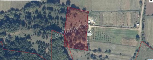 Bilecik Bozüyük Muratdere Köyü Satılık 4644 M2 Tarla