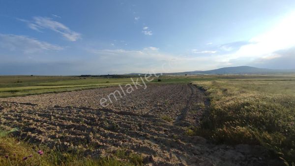 Seyitgazi Taşlık Satılık Tek Tapu Tarla