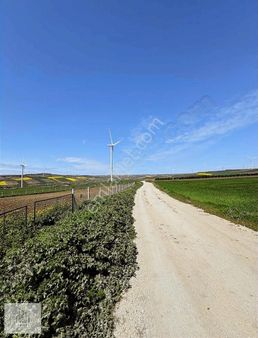 Soran Değil Alan Kazanır (fenerköy)