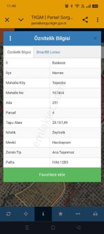 Havran Tepeoba Satılık Zeytinlik Hissesi 17 Dönüm