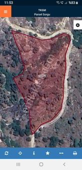 Aydın Koçarlı Gözkayası Bu Fiyata Zeytinli Tarla Kaçmaz