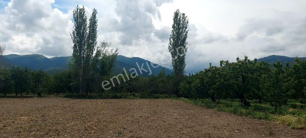 Bizim Emlaktan 2.900 M² Çoookkk Hesaplı