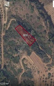 ✨finans Group Gayrimenkul'den Satılık Irlamaz Mahallesinda Tarla ✨