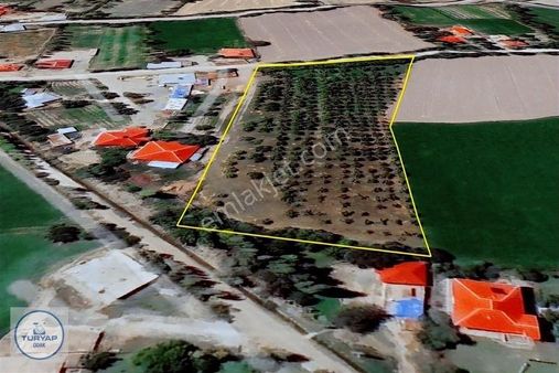 Aralık Aras Merkezde Cadde Cepheli Sulamalı 7841m2 Elma Bahçesi