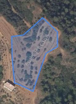 ✨finans Group Gayrimenkul'den Irlamaz Mahallesinde Satılık Tarla ✨