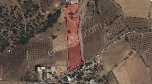 Hacıköy'de 9 Dönüm Satılık Fırsat Tarla