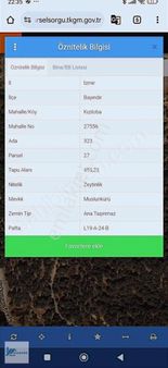 Asansör Emlaktan Satılık Yola Sıfır Harika Zeytinlik