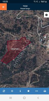 Aydın Çine Söğütcük Tüller Mevkiinde Kaçırılmayaçak Zeytinlik.