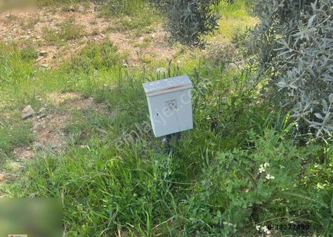 Manisa Turgutlu Bozkır Mh 2260m2 Elektirik Vesuyu Olan Zeytinlik