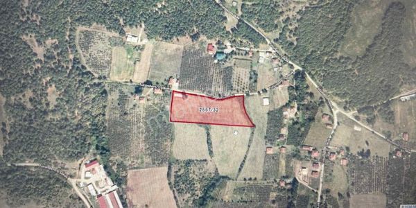 Henglobalden 📍 Satılık Tarla - Sakarya / Karaçökek Köyü