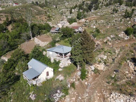 Avla Yaylasında Satılık Müstakil Bahçeli Ev Ve Tarla