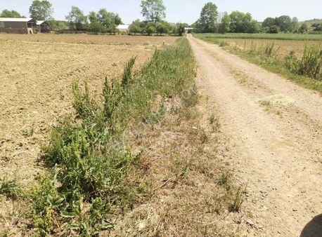 Satılık İsakciler Dibi Güzel Arazi