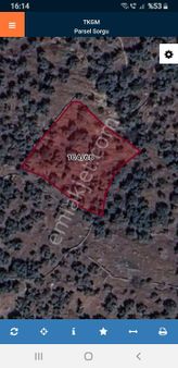 Muğla Milas Şenköyde Bulunan Zeytinlik