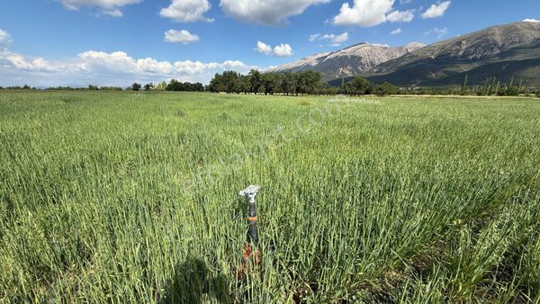 ⭐️ 1 Dönüm Parasına 1,5 Dönüm Arazi ⭐️