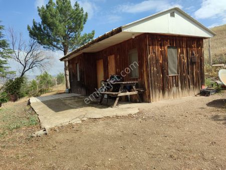 Yatırımlık Meyve Bahçesi Polatlı Macun Köyü Yoluna Sıfır Kuscu