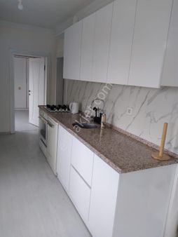 Sakarya Geyve Baglarbaşıda 1740 M2 Mustakıl