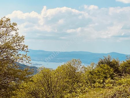 Kocaeli Kartepe Satılık Arazi Yatırımlık Serinlik Köyü