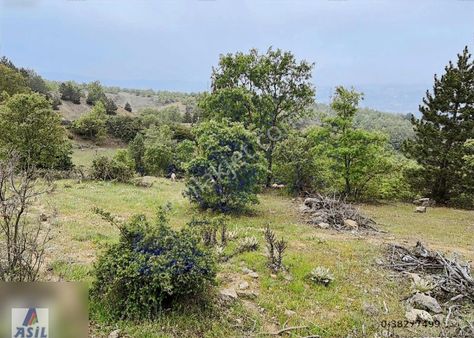 Horzum Köyü'nde Satılık 695m2 Bahçe