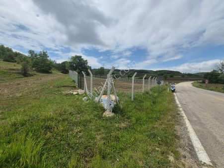 Erkan Anbar Dan Satılık Bağ Bahçe Tarla Ladik Budakdere Köyü