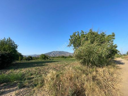 Hazar Gayrimenkul'den Yalınkuyuda Bereketli Petrolün Karşısında Köşe Başı Satılık Meyve Bahçesi